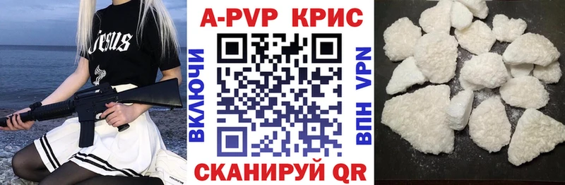 Альфа ПВП СК КРИС  Урус-Мартан 