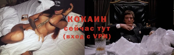 ГАЛЛЮЦИНОГЕННЫЕ ГРИБЫ Аркадак