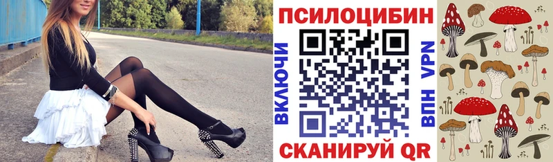 мега маркетплейс  закладки  Урус-Мартан  Псилоцибиновые грибы Cubensis 